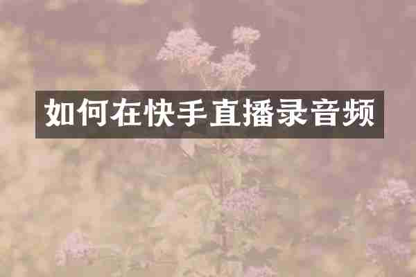 如何在快手直播录音频