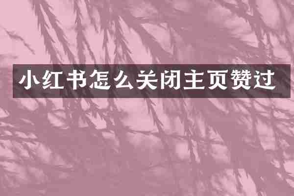 小红书怎么关闭主页赞过