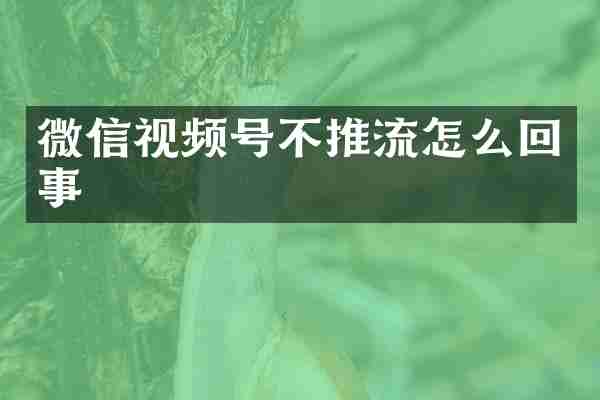 微信视频号不推流怎么回事