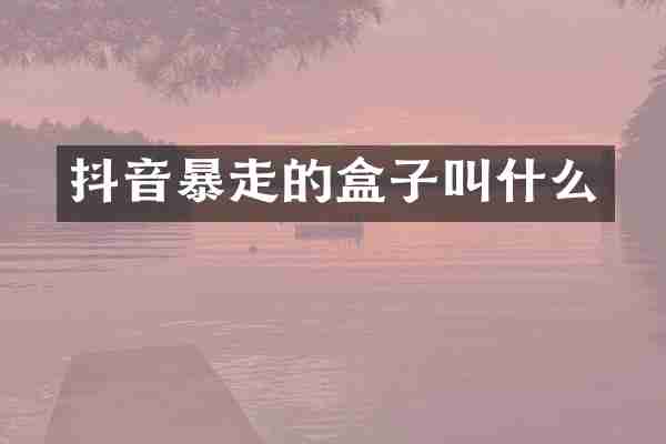 抖音暴走的盒子叫什么