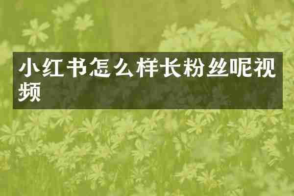 小红书怎么样长粉丝呢视频