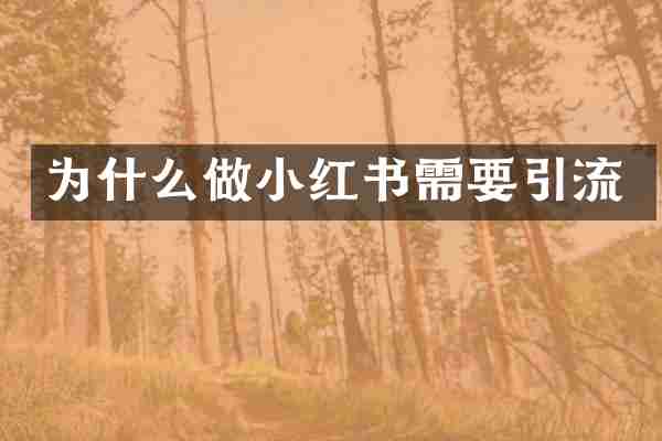 为什么做小红书需要引流