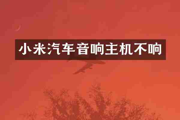 小米汽车音响主机不响