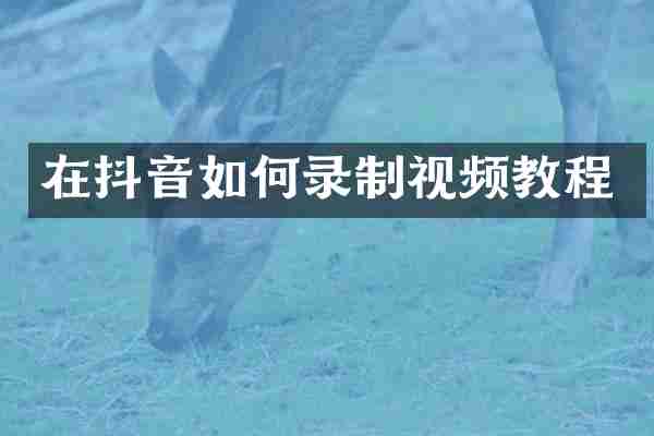 在抖音如何录制视频教程