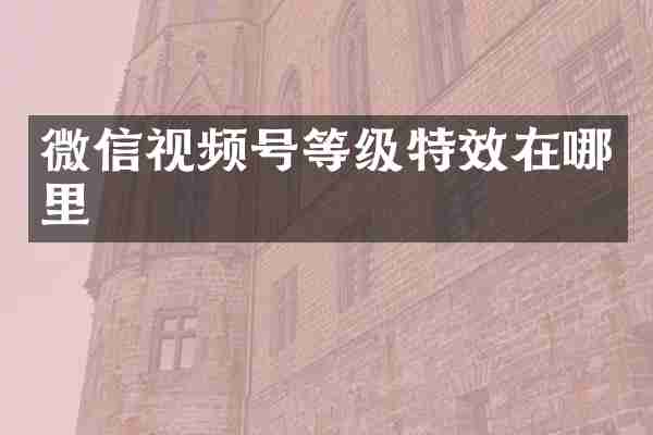 微信视频号等级特效在哪里