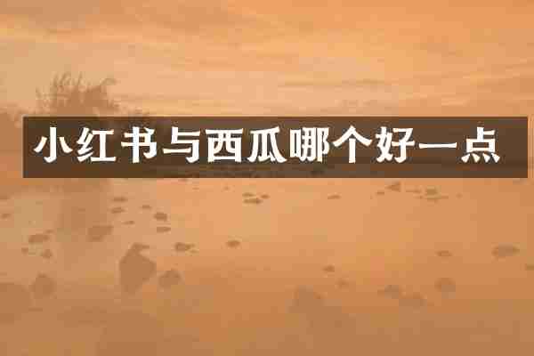 小红书与西瓜哪个好一点