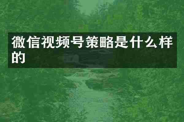 微信视频号策略是什么样的
