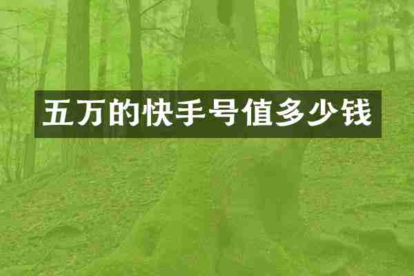 五万的快手号值多少钱