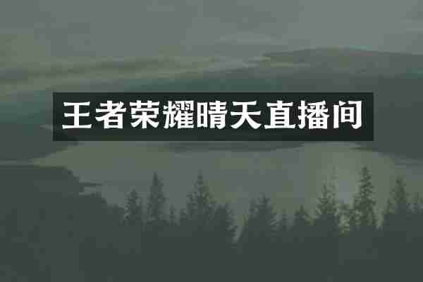 王者荣耀晴天直播间