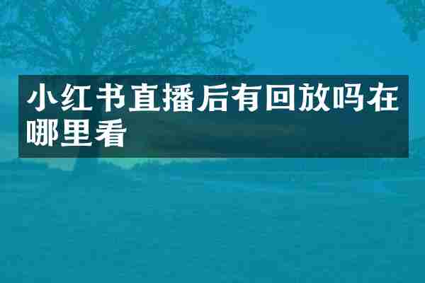 小红书直播后有回放吗在哪里看