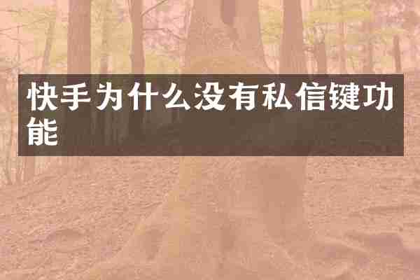 快手为什么没有私信键功能