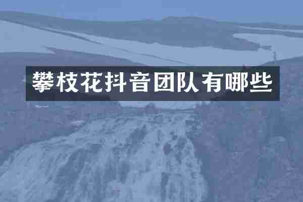 攀枝花抖音团队有哪些