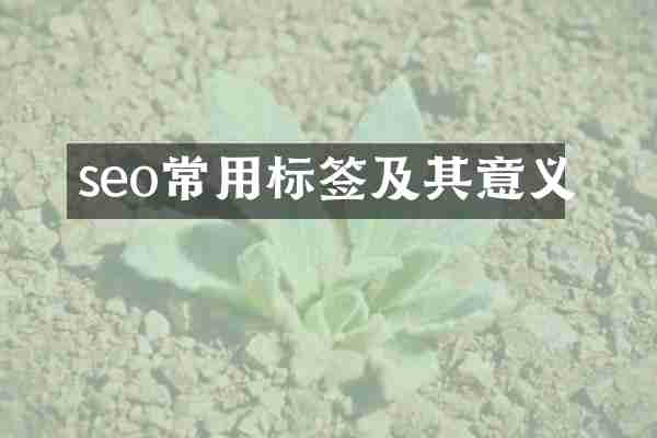 seo常用标签及其意义