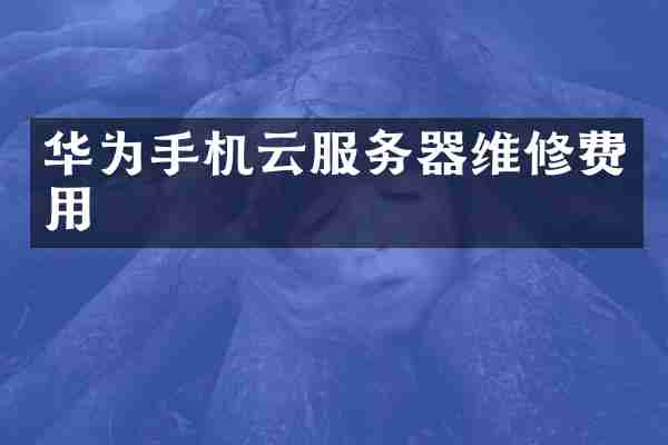 华为手机云服务器维修费用