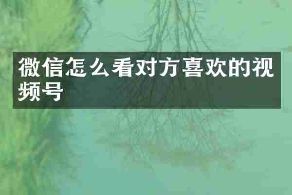 微信怎么看对方喜欢的视频号
