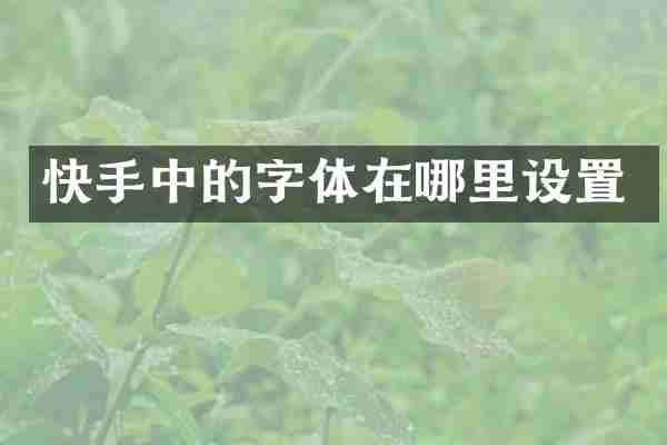 快手中的字体在哪里设置