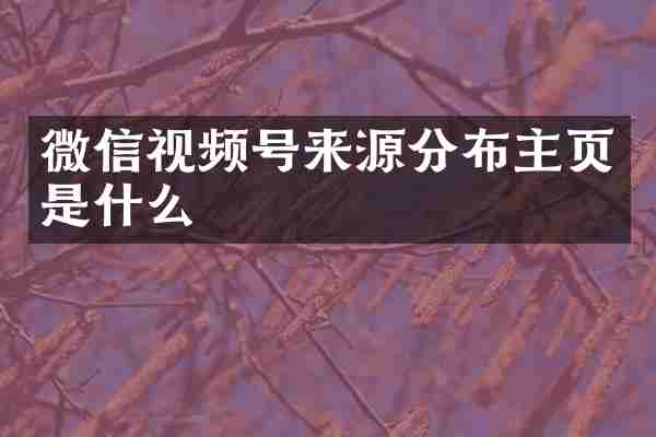 微信视频号来源分布主页是什么