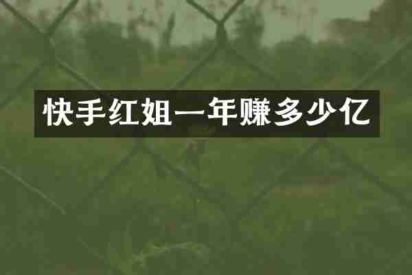 快手红姐一年赚多少亿