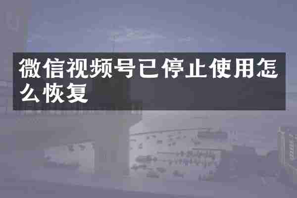 微信视频号已停止使用怎么恢复