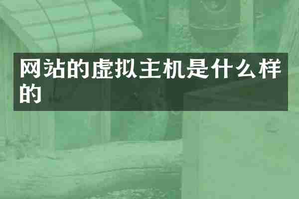 网站的虚拟主机是什么样的
