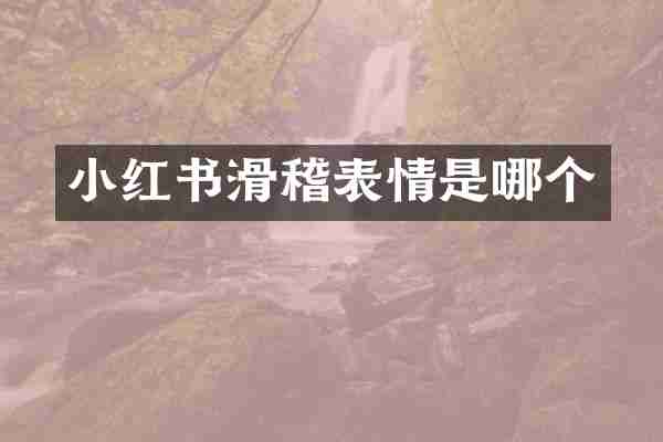 小红书滑稽表情是哪个