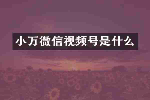 小万微信视频号是什么