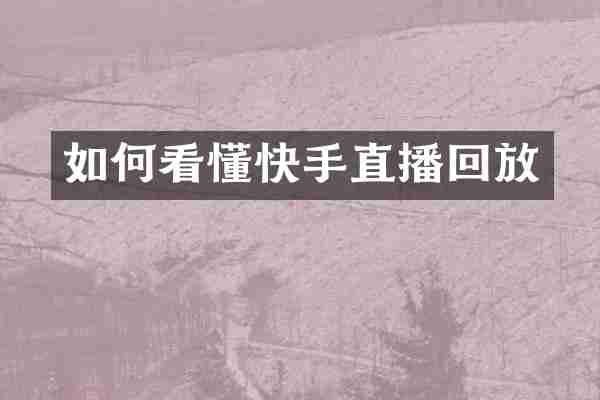 如何看懂快手直播回放