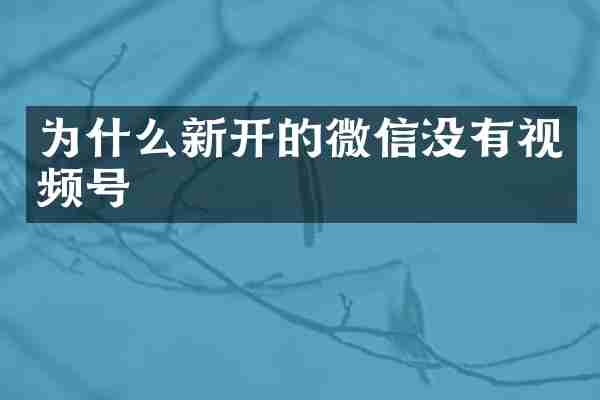 为什么新开的微信没有视频号