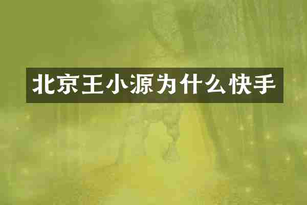 北京王小源为什么快手