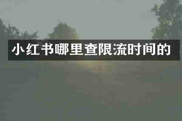 小红书哪里查限流时间的