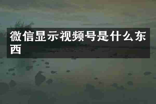 微信显示视频号是什么东西