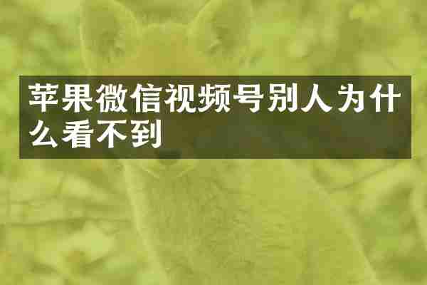 苹果微信视频号别人为什么看不到