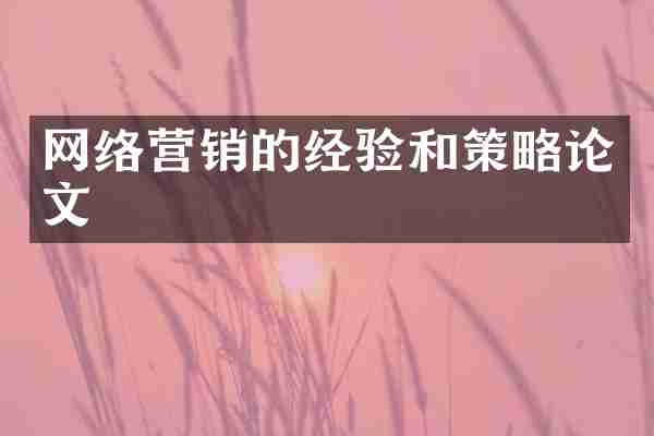网络营销的经验和策略论文