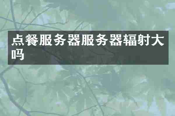 点餐服务器服务器辐射大吗