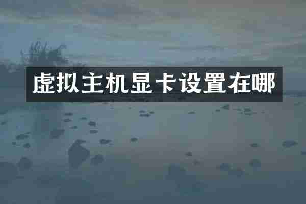 虚拟主机显卡设置在哪