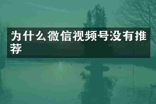 为什么微信视频号没有推荐