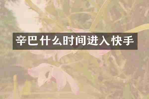 辛巴什么时间进入快手