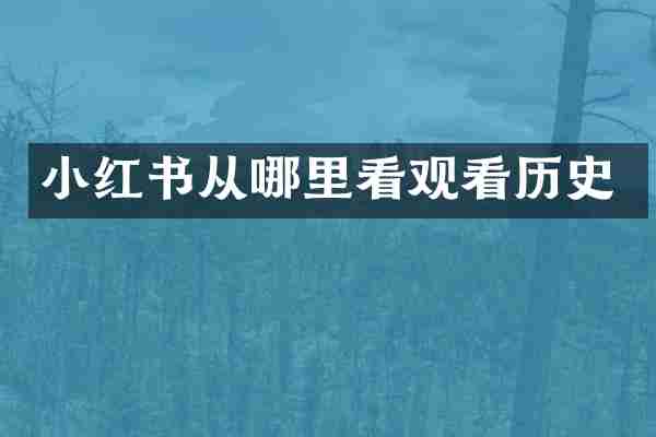 小红书从哪里看观看历史