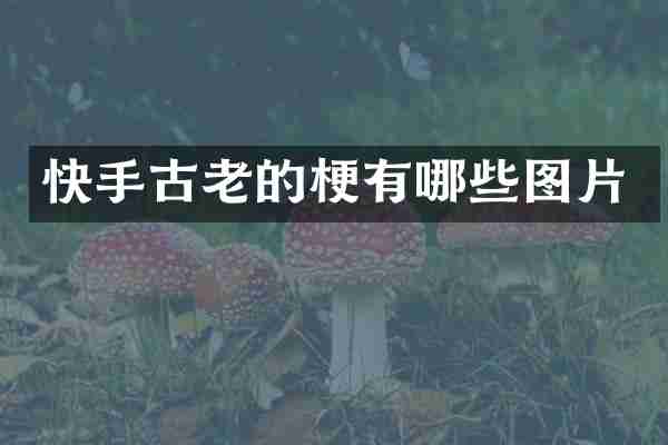 快手古老的梗有哪些图片