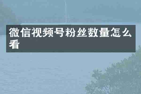 微信视频号粉丝数量怎么看
