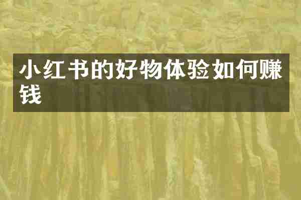 小红书的好物体验如何赚钱