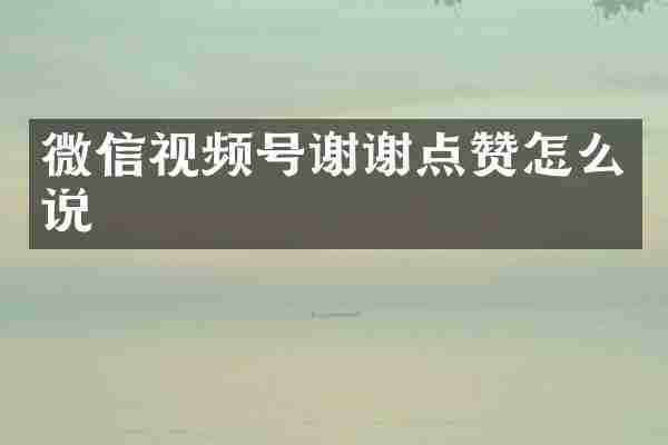 微信视频号谢谢点赞怎么说