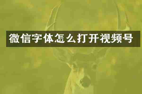 微信字体怎么打开视频号