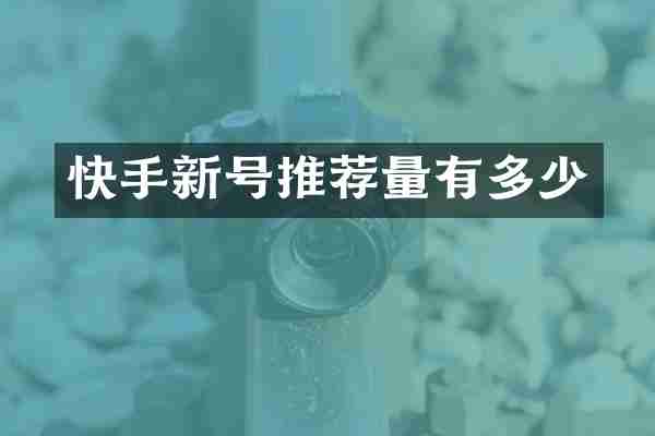 快手新号推荐量有多少