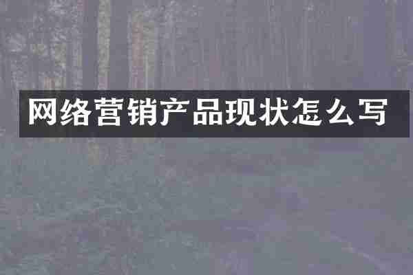网络营销产品现状怎么写