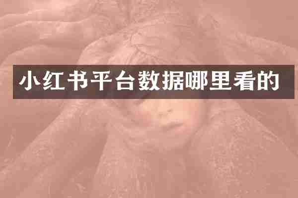 小红书平台数据哪里看的