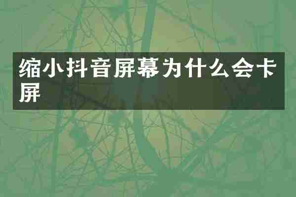 缩小抖音屏幕为什么会卡屏