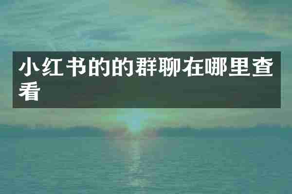 小红书的的群聊在哪里查看