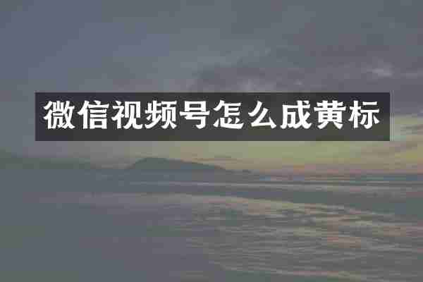 微信视频号怎么成黄标