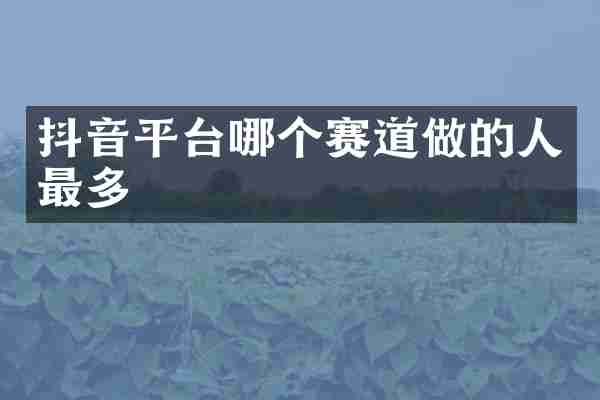 抖音平台哪个赛道做的人最多